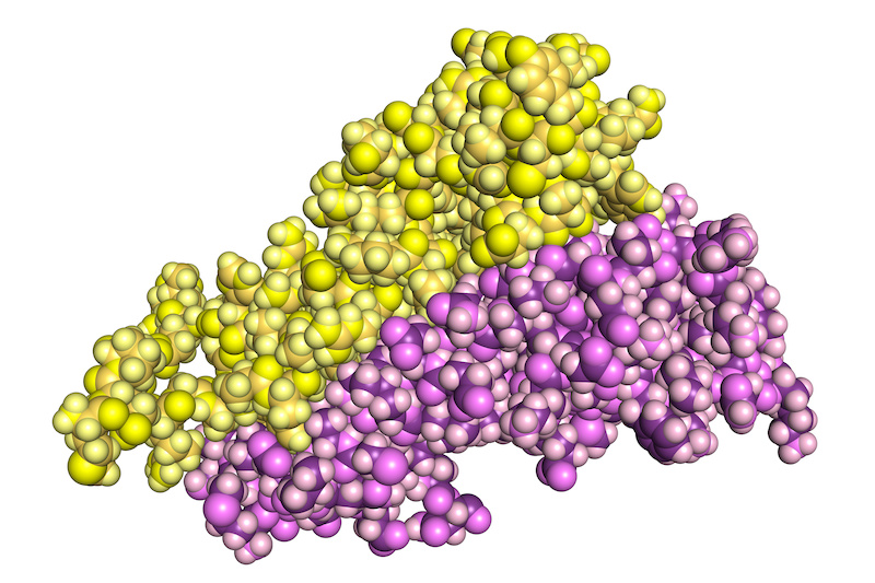 Antibiotic Novobiocin Found to Kill Tumor Cells with DNARepair Glitch