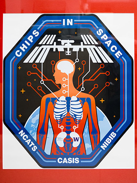 NASA Tissue Chips in Space Project Patch