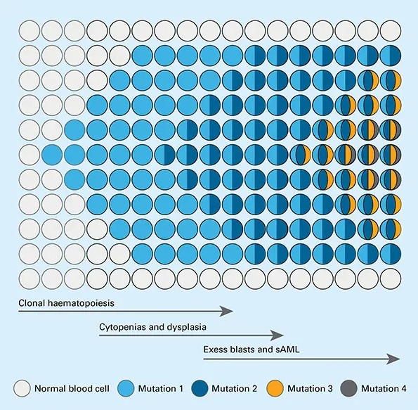 CHIP score risk stratification method