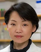 Jean Zhao, PhD