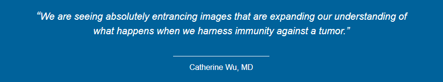 Catherine Wu, MD Quote