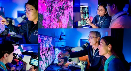 The Tools Behind the Images