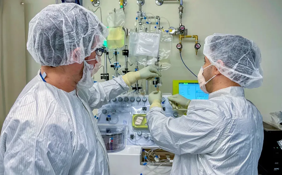 Immune Effector Cell Therapy Program