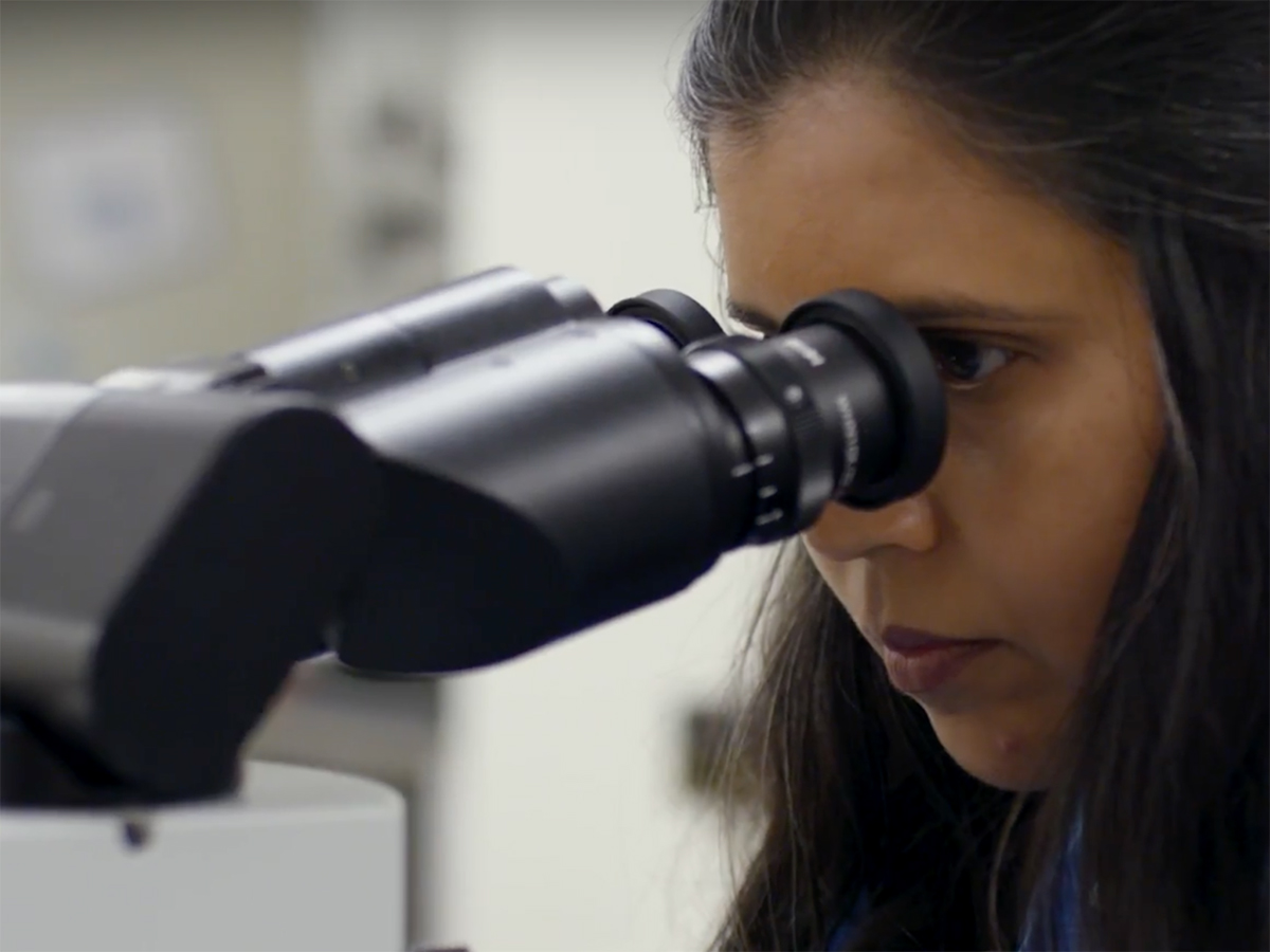 FirstinHuman Trial Uses Universal Donor 'Natural Killer Cells' to