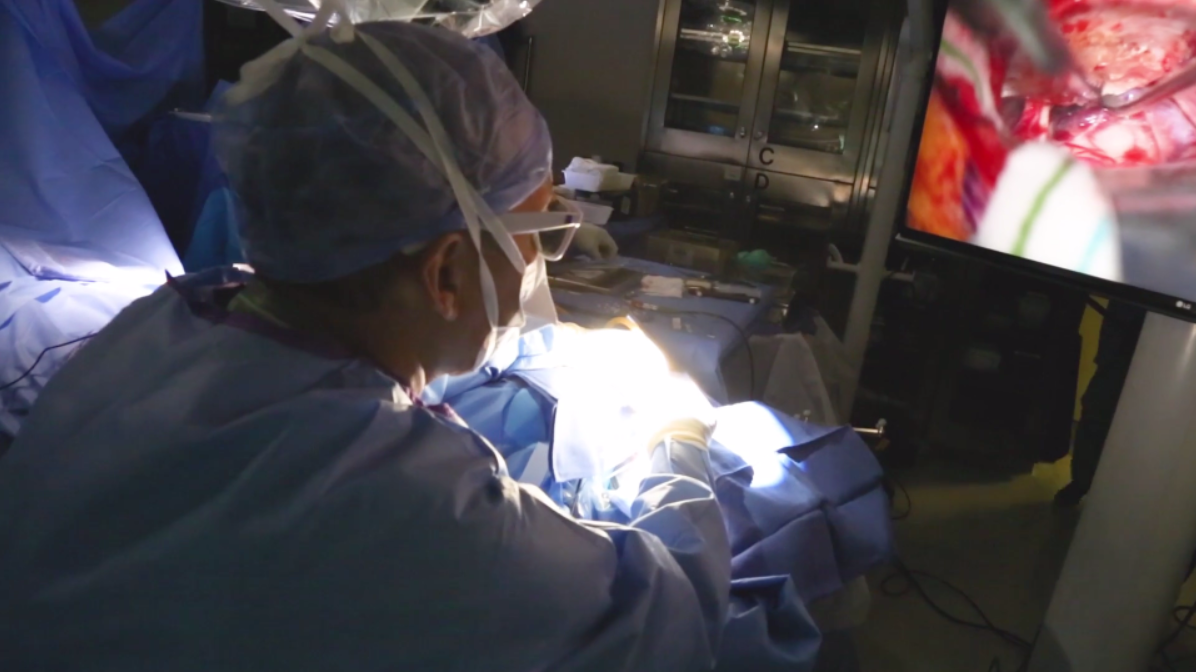 健康・医学 Basic Techniques of Microsurgery Microsurgical techniques course, module A - basic | Animalab