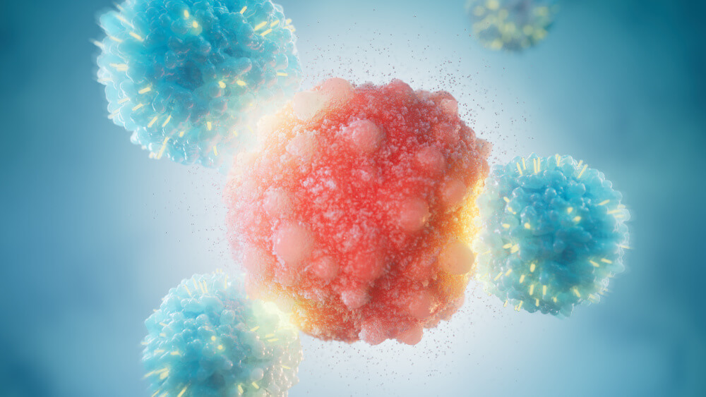 CAR T cell attacking a cancer cell.