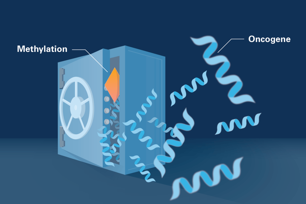 Cells typically genes that drive cancer growth, called oncogenes, locked away in the genome using the epigenetic equivalent of an ironclad safe. 