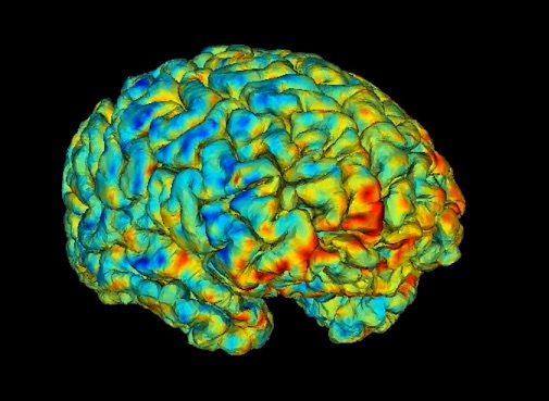 Brain Antidepressant Biomarkers