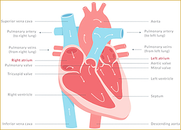 When to worry about AFib - UC Davis