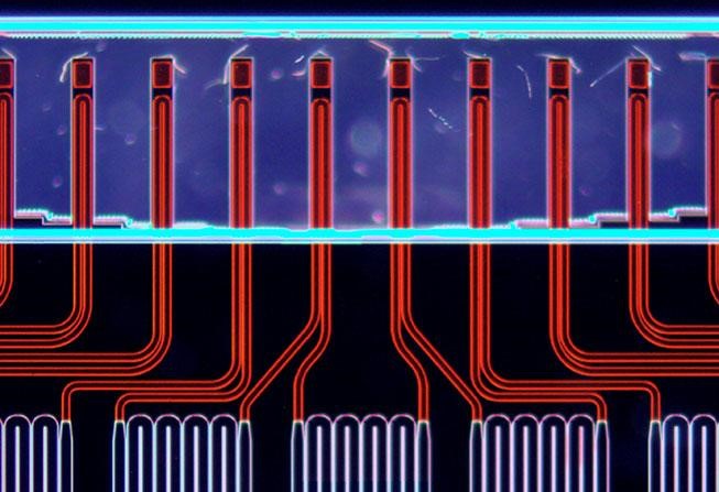 Novel microfluidic device