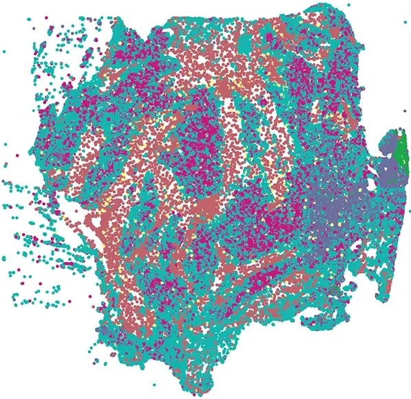 Map Showing gene expression
