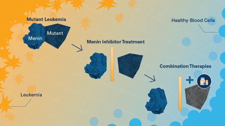 Menin Inhibitor Graphic