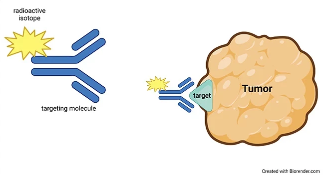 Radioligand therapies Graphic