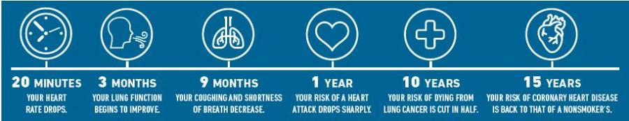 smoking infograph