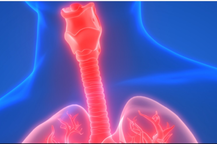 Constructing A New Trachea To Avoid Permanent Tracheostomy Johns