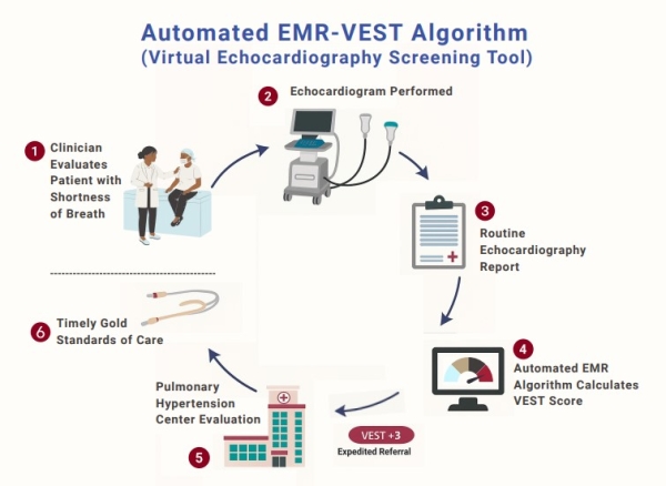 Automate EMR-Vest Algorithm graphic